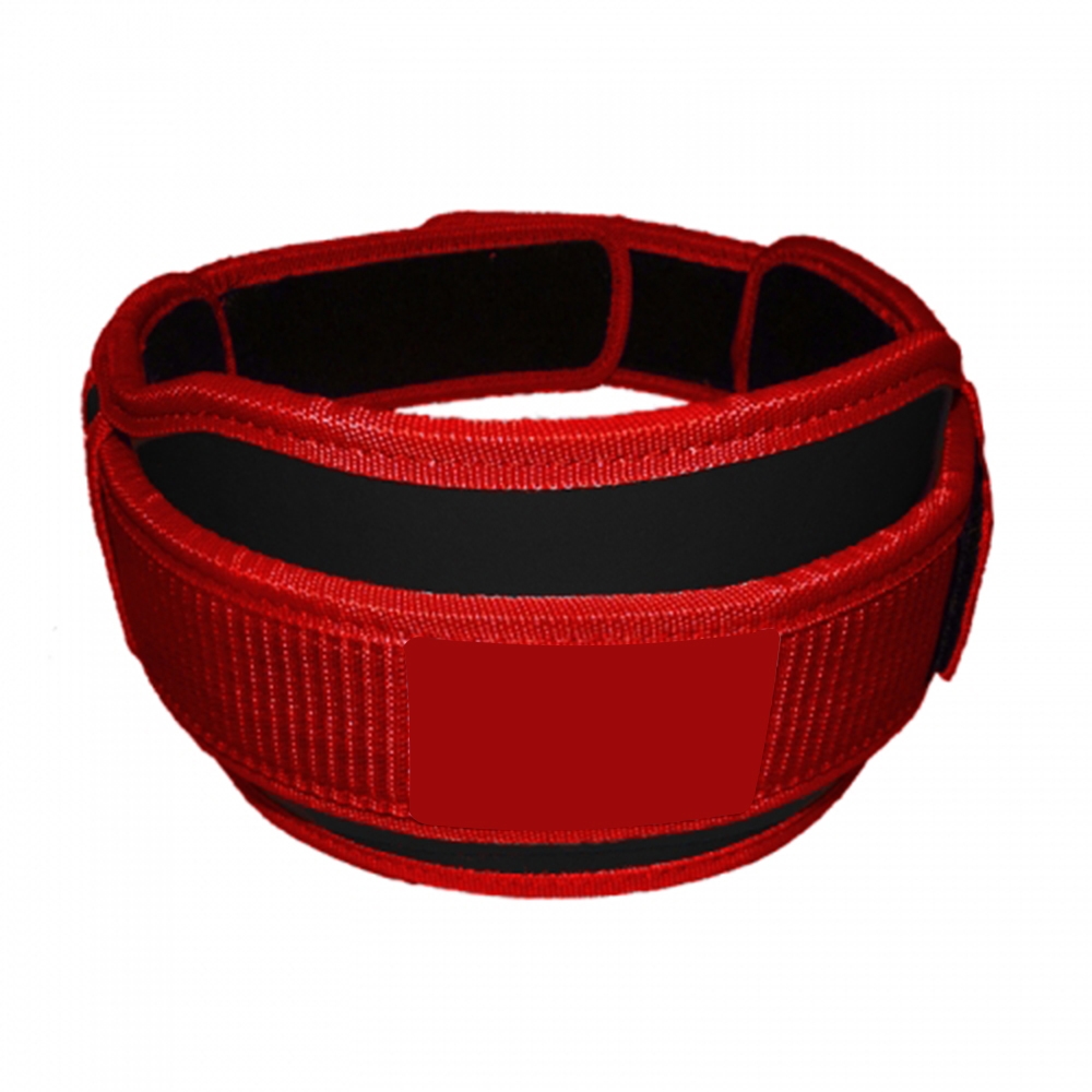 Fitness Belt